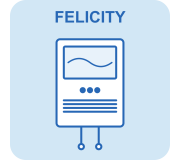 Гібридні ДБЖ Felicity